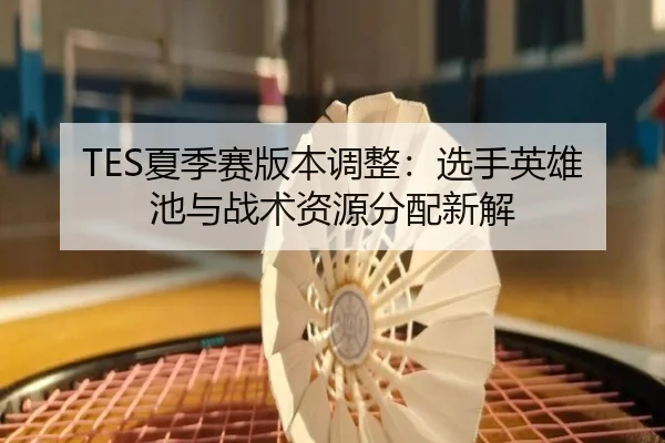 TES夏季赛版本调整：选手英雄池与战术资源分配新解