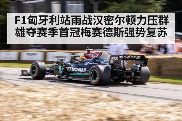 F1匈牙利站雨战汉密尔顿力压群雄夺赛季首冠梅赛德斯强势复苏