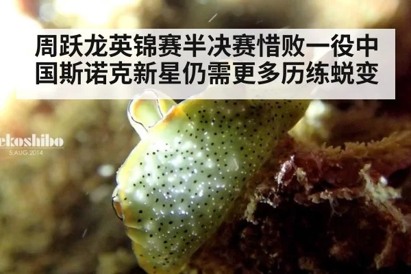 周跃龙英锦赛半决赛惜败一役中国斯诺克新星仍需更多历练蜕变
